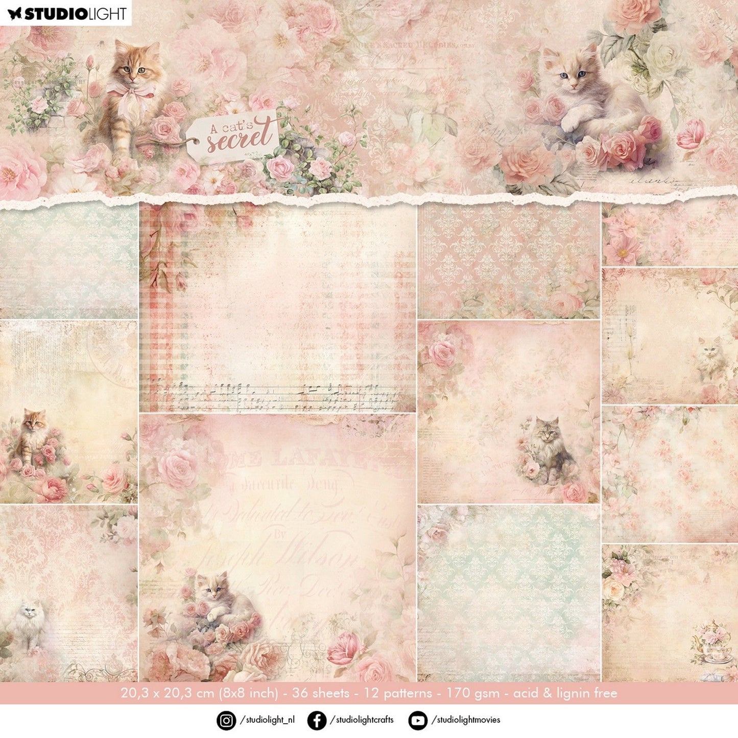 Studio light • a cat's secret designer paper pad background paper
