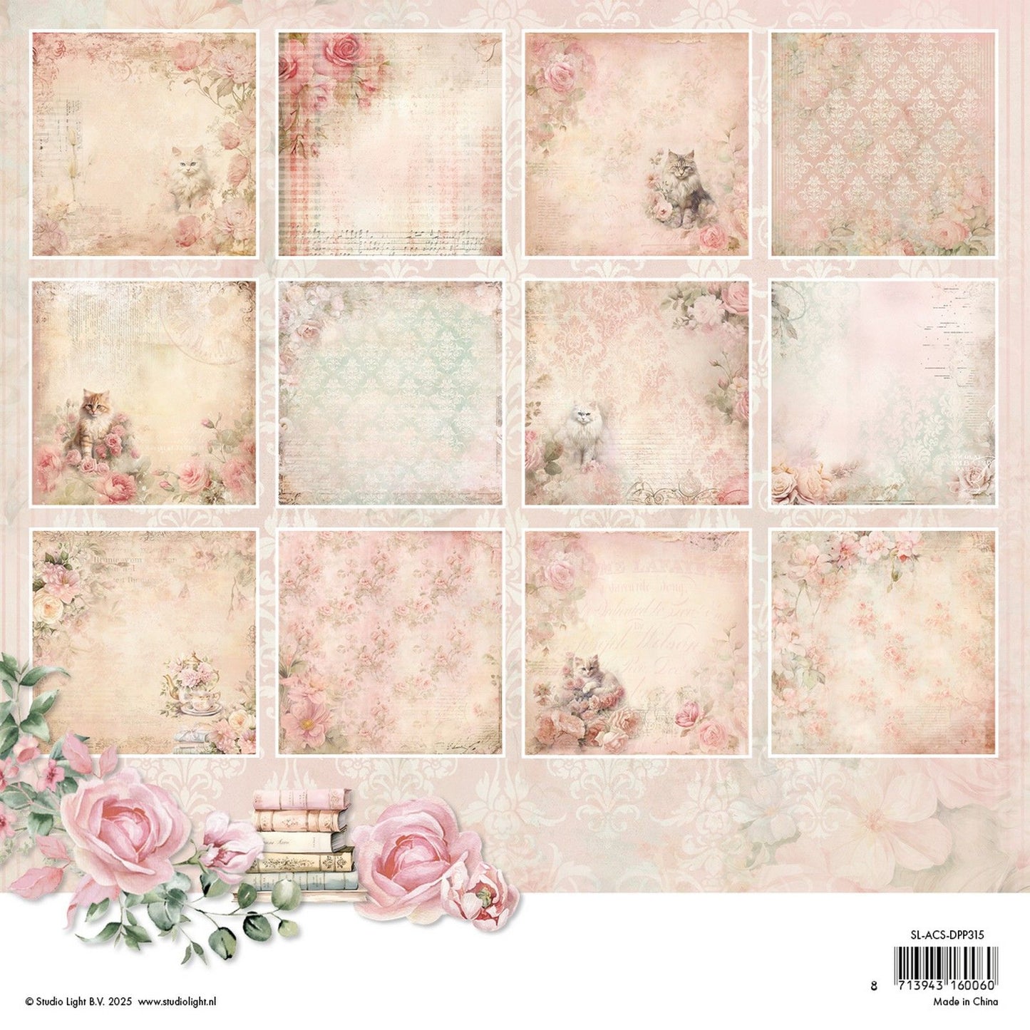 Studio light • a cat's secret designer paper pad background paper