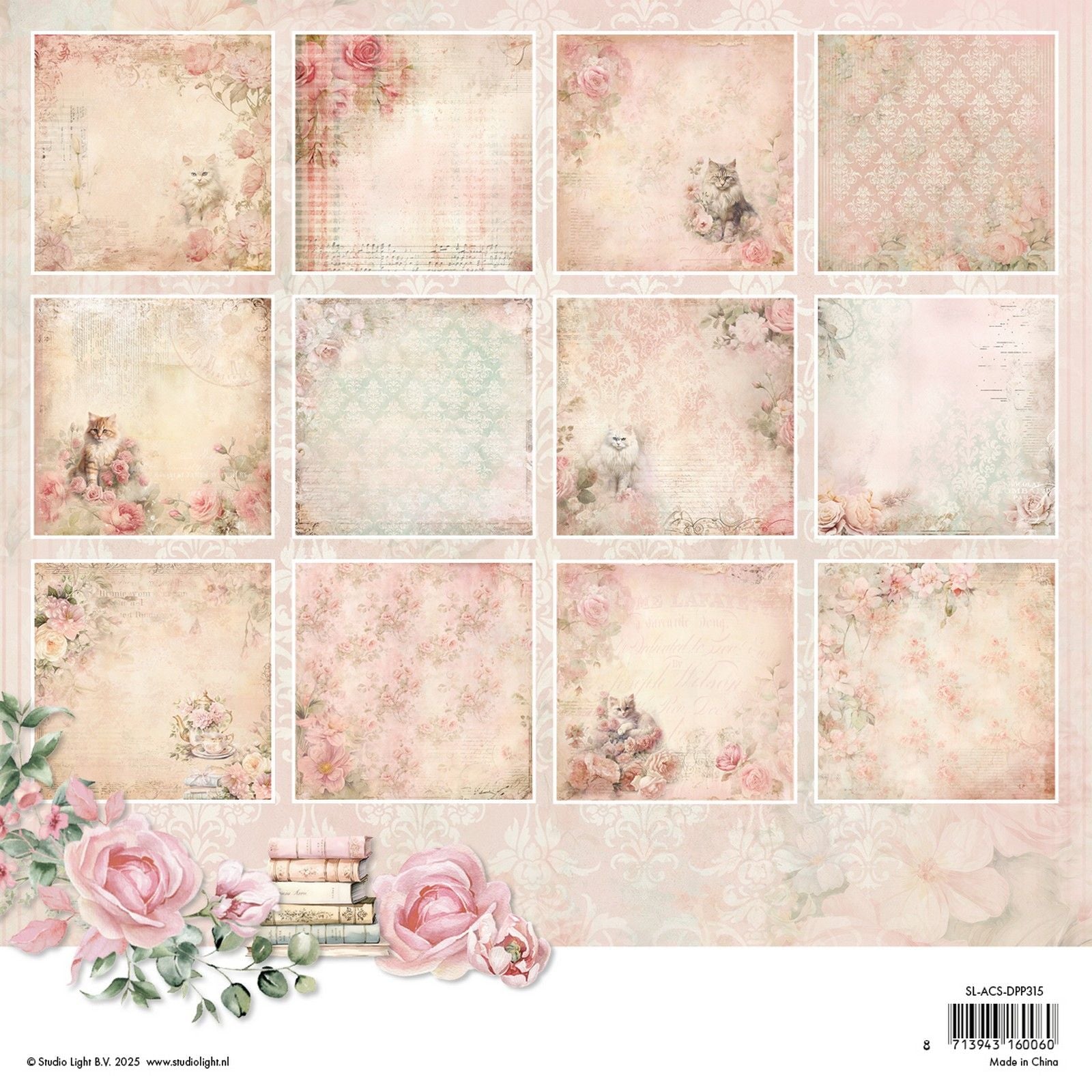 Studio light • a cat's secret designer paper pad background paper