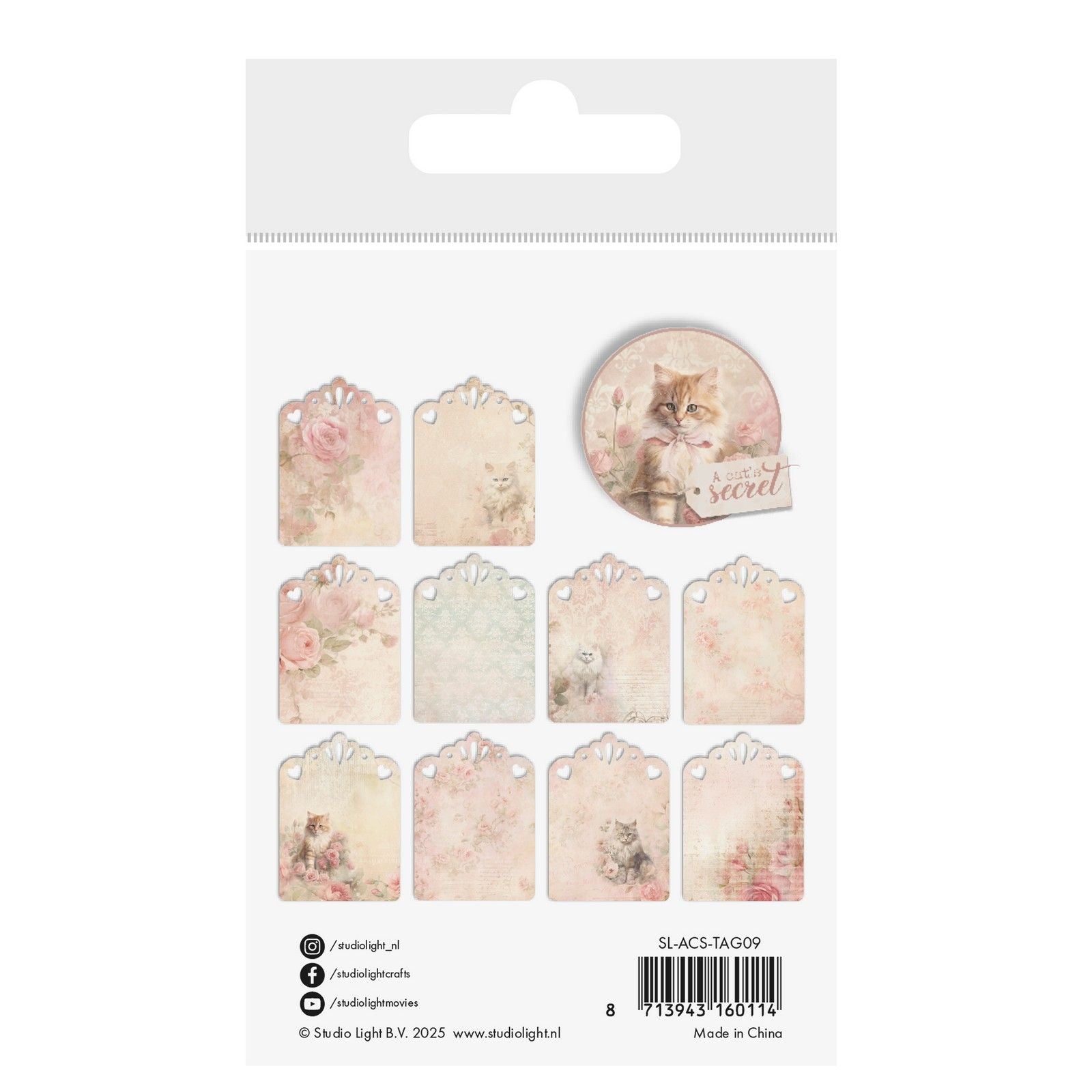 Studio light • a cat's secret tags atc paper 250gsm