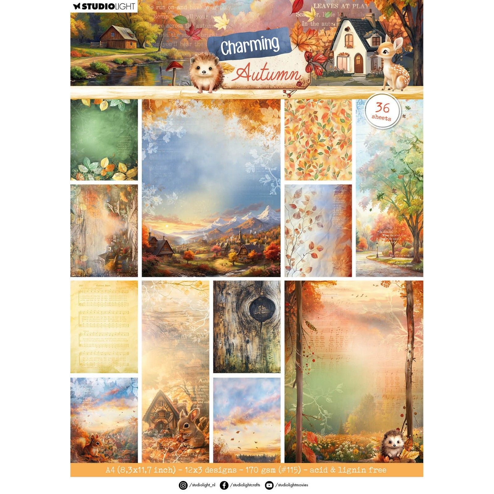 Studio light • charming autumn designer paper pad background papers
