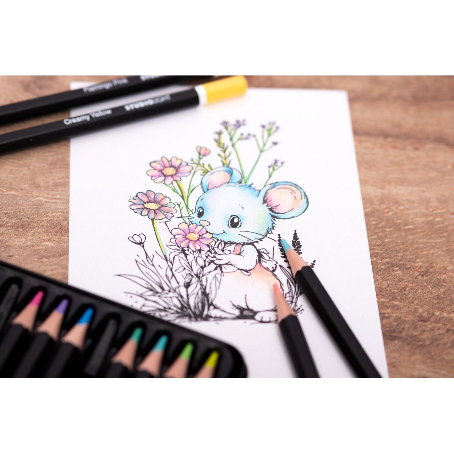 Studio light • essentials pencils in pastel shades 12pcs