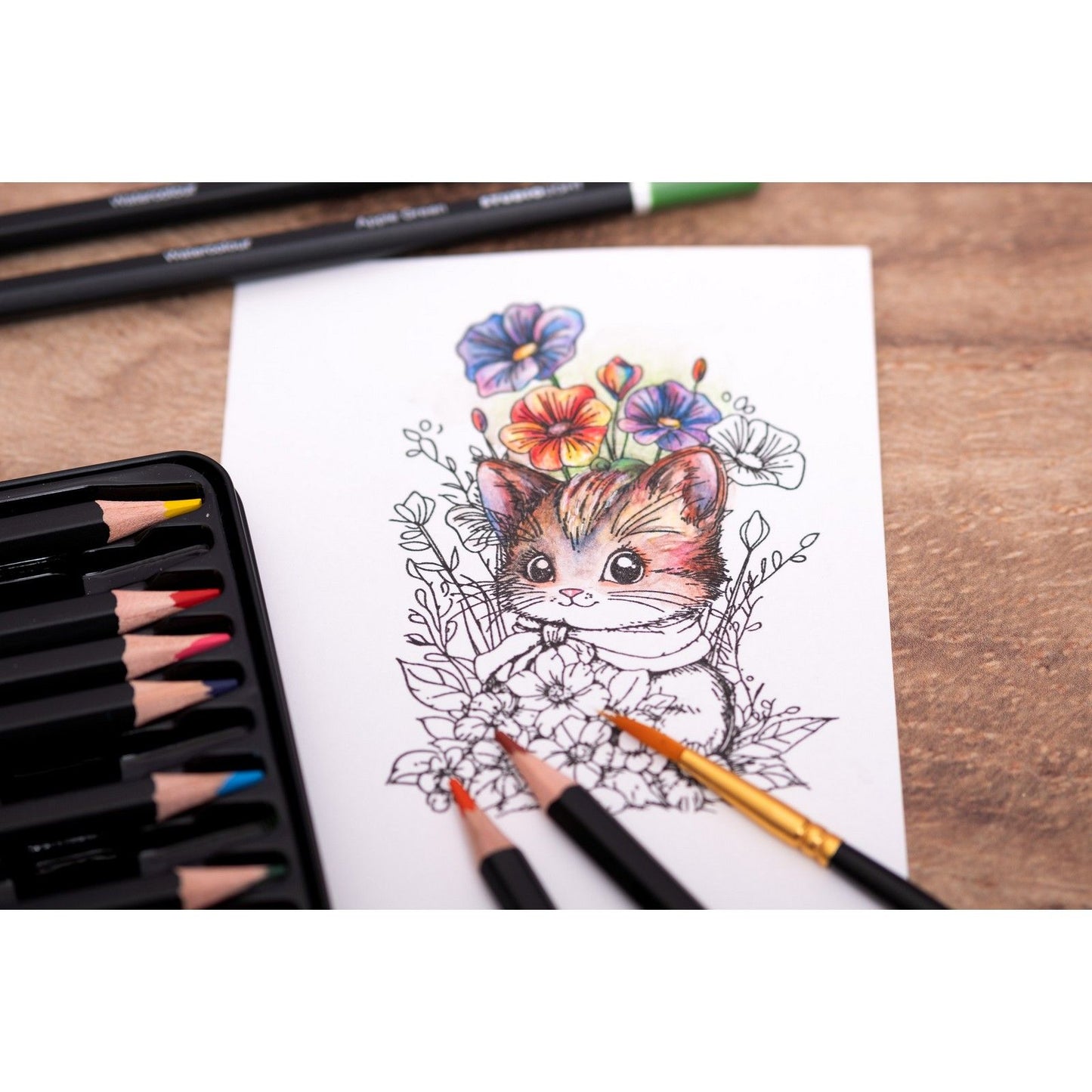 Studio light • essentials pencils watercolor pencils 12pcs