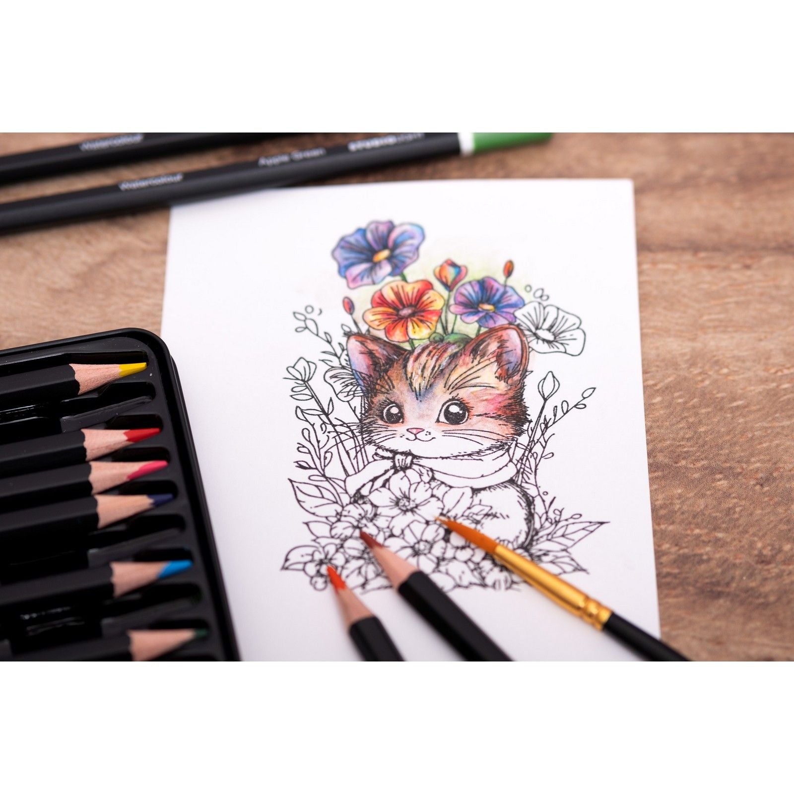 Studio light • essentials pencils watercolor pencils 12pcs
