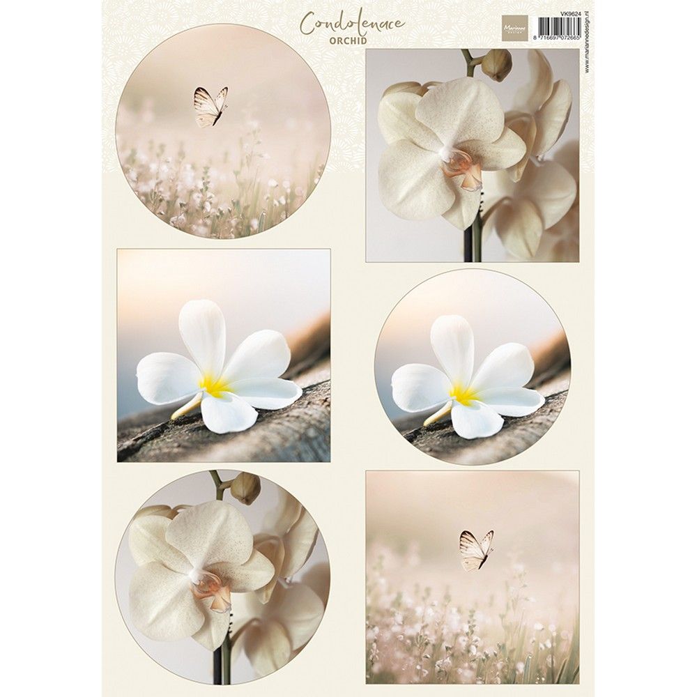 Marianne design • knipvel condoleance orchid