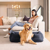Intex opblaasbaar hondenbed | middelgroot