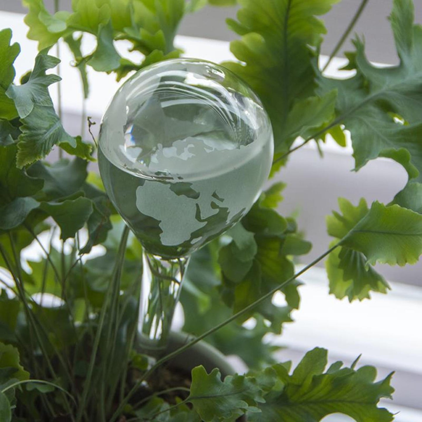 Esschert design bewateringsbol glas globe ø6,6xh20cm