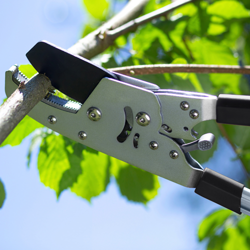 Werkzeyt takkenschaar telescopische steel - wu9769700