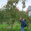 Meister fruitplukker met telesc. steel - wu9890020