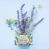 Nesti dante lavanda blu del mediterraneo zeep 150gr.
