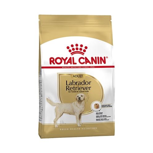 Royal canin Canin labrador retriever adult