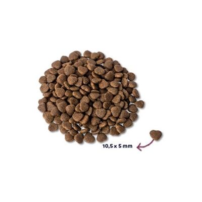 Renske Super premium adult verse zalm