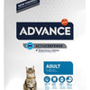 Advance Cat adult chicken rice