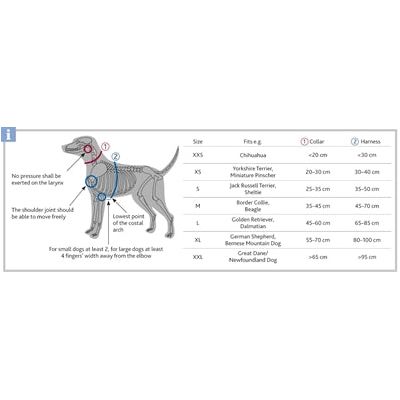 Trixie Halsband hond premium bosgroen