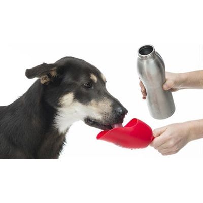 Kong H2o drinkfles rvs roze