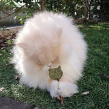Croci Euphoria stick catnip kattenkop - afbeelding 3