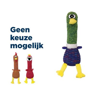 Kong Shakers cuckoos assorti