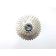 Xtrabike cassette 12v 11-34 shimano