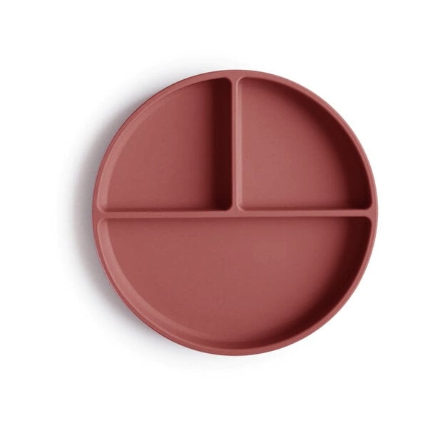Nuuroo Mingo divided silicone plate