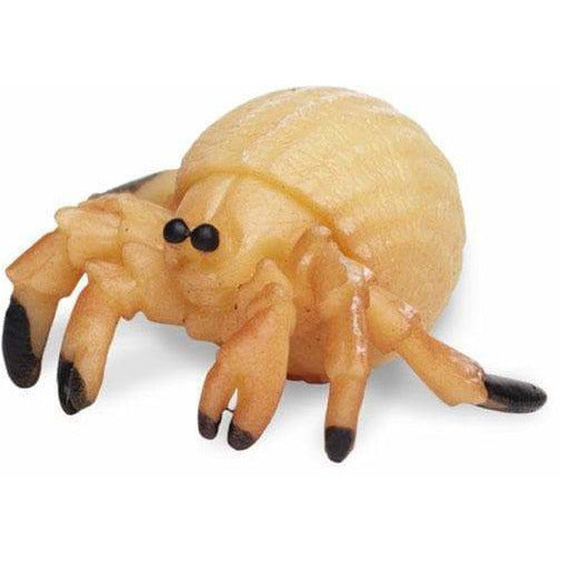 Safari Heremietkreeften speelset 2,5 cm 192-delig